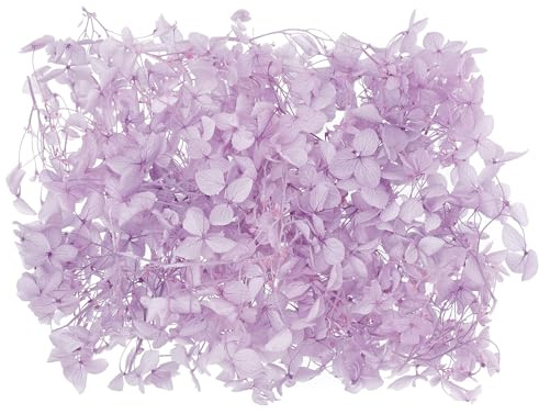The Baked Studio - Original Dried Flower Hydrangea Set For Cake & Cupcake Decorating & Others Crafts (Lilac)