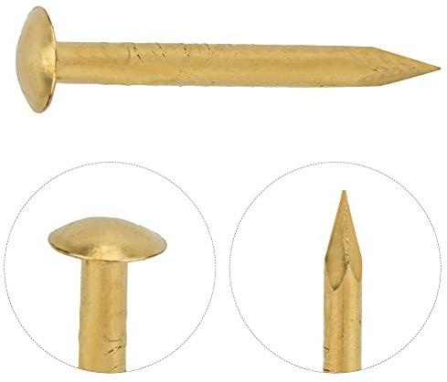 Tnfeeon 100Pcs Brass Round Head Nails Vintage DIY Craft Fasteners 0.4 0.6 0.7 Inch Decorative Hardware for Craft Box Picture Hanging (10mm long)