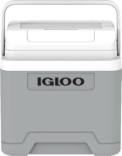 IGLOO IE27 DC Frigorifero Elettrico, 27 Litri, Mini-Frigorifero con Connessione 12V per Auto, Barca e Tempo Libero, Grigio