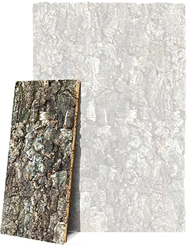 XL Korkrückwand 60 x 30 cm – 3D Rückwand aus Naturkork für Terrarium, gereinigt und desinfiziert, nachhaltiges Design im Forest Stil, ideal für Reptilien, Schildkröten, Geckos, Bartagame, Schlangen