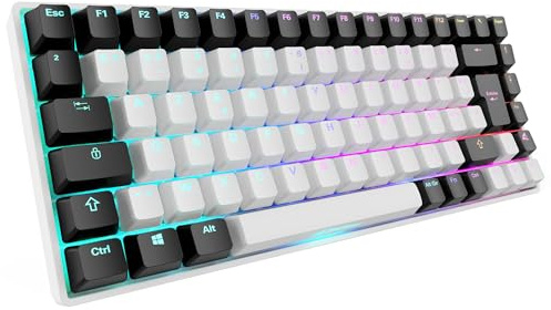Sharkoon Gaming-Tastatur SKILLER SGK50 S3