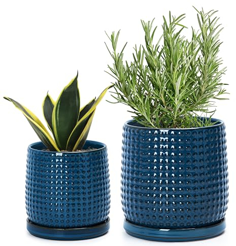 D'vine Dev 27-H-B-U-ZS Keramik-Pflanztöpfe für den Innenbereich, 15,2 cm, 10,2 cm, mit Ablaufloch und Untersetzer, Perlen-Design, 2 Stück, Blau
