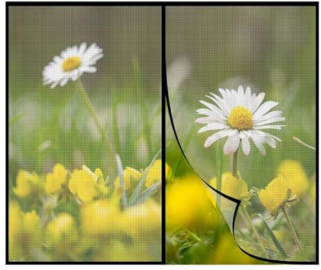Fliegenschutz Fenster Magnetisch, 130x135cm Anti-Moskito Insektenschutz Fenster, Selbstklebend Klebeband, FüR Balkonfenster Wohnzimmer Kellerfenster Schwarz