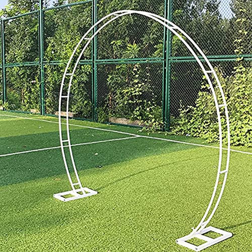 CHUNTIANMEI Arche De Jardin,Ronde Arceau à Roses Metal,Métal Pergola de Jardin,pour Décoration De Fête Intérieure Extérieure,Anniversaire,Fond De Mariage,White-Medium