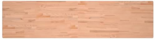 vidaXL Piano Scrivania 220x55x2,5 cm in Legno Massello di Faggio