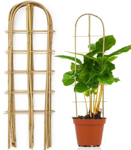 SWANGSA Lot de 6 treillis en bambou en forme de U pour plantes grimpantes, treillis de jardin pour plantes en pot d'extérieur et d'intérieur, légumes, concombre, tomate