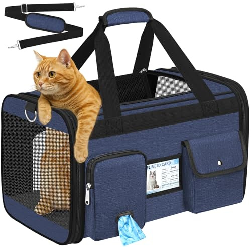 TEUEN Sac Transport Chat Chien Approuvé Aviation Caisse de Transport | Pliable jusqu'à 9kg Tissu Oxford Respirant 600D, Matelas Amovible Lavable + Laisse Sécurité pour Voyage/Voiture/Vétérinaire