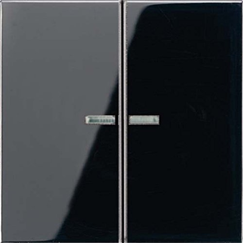 Jung ls990 - Tecla doble con 2 visores para 505kou negro