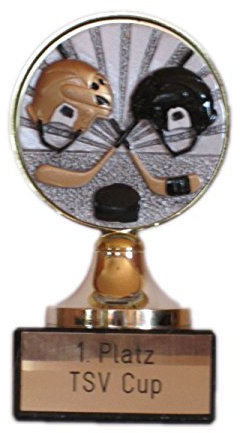 RaRu Eishockey-Pokal mit Gravur und Resin-Emblem.
