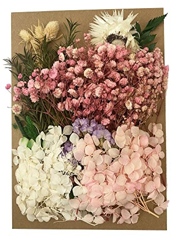 Cayway Flores y Hojas Secas Prensadas Mixtas - Conjunto para DIY, Tarjetas, Álbum, Recorte, Velas y Manualidades