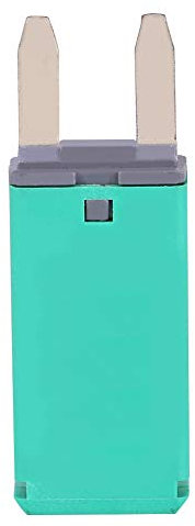 TNGNMGVSJ Flachsicherungsschalter, Schalter, Relais, 14 V DC, automatische Rückstellung, Mini-Leistungsschalter, Flachsicherungen for Auto, LKW, Boot, Wohnmobil, 30 A, Grün
