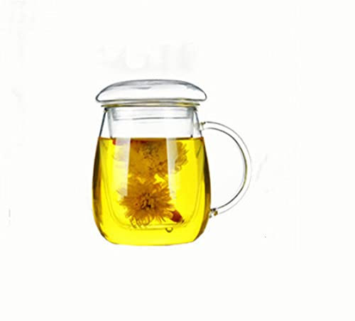 PEEHOO Taza de té de estilo con filtro de tapa. Tazas de café Juego de té Tazas Cerveza Bebida Oficina Taza Vasos Vaso de vidrio resistente al calor, 500 ml A