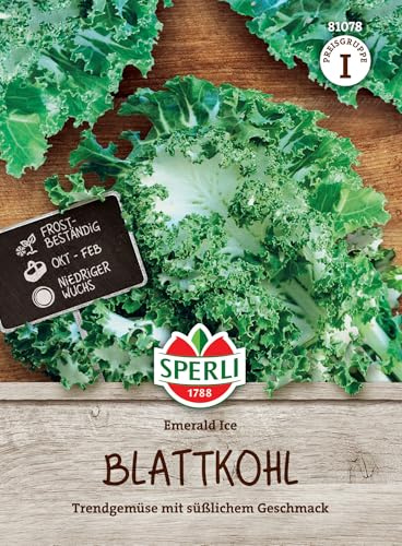 Sperli Blattkohlsamen Emerald Ice 81078, Gemüsesaat | Wuchshöhe bis zu 90 cm, kompakt, ertragreich