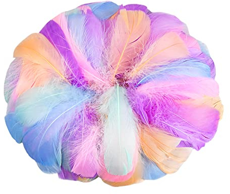 Dokeno 100 Stück Federn zum Basteln, Bunte Federn, Federn, Natürliche Federn, Deko Federn Bunt, Dekofedern, Bunte Federn zum Basteln, Natürliche Gänsefeder für DIY Basteln Dekoration (7-12cm)