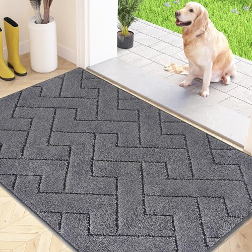 FCSDetaljer Smutsfångande matta inomhus 80 x 120 cm, halkfri dörrmatta, tvättbar ren entrématta, absorberande dörrmatta för hund, entré, ytterdörr och hall