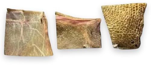 Getrocknete Ziegenpansenplatten getrocknet für Hunde, 1kg, Hypoallergen, Proteinreich, Zahnpflege, Ziegenpansen-Platten