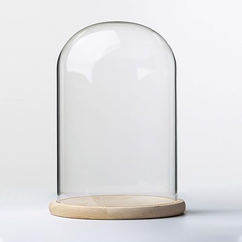 TIHONORI Cloche Kuppeldisplay aus Glas mit Sockel aus Massivholz Durchmesser 20 cm zur Präsentation von Pflanzen, Ornamenten, Figuren,20 * 25cm