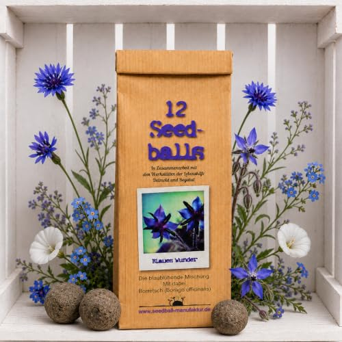 12 Seedballs Blaues Wunder - Blaue & Violette Blüten für Garten & Balkon