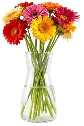 Zuzer Florero de Vidrio Transparente, Jarrón Decorativo Moderno para Centro de Mesa, Ramos de Flores, Bodas, Hogar u Oficina 10.5x8.5x20 cm