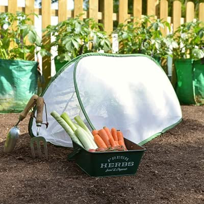 GardenSkill Pop-Up Cloche Tunnel with Insect Mesh Cover - Garden Grow-House and Carrot Fly Protection (1m x 0.4m x 0.4m high)