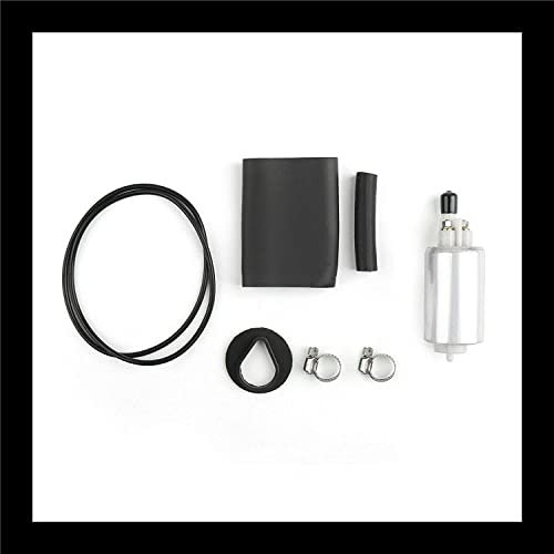 Teram Loisirs Benzinpumpe, kompatibel mit Honda GL 1500 Goldwing – St 1100 Pan European/Ducati 600 750 900 SS – Supersport 900