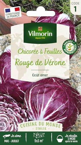 Vilmorin - Chicorée Rouge de Véronne