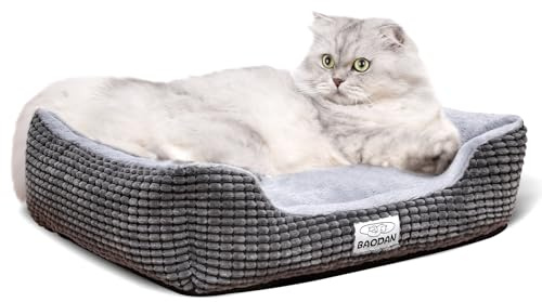 Baodan Small Dog Bed, Washable Dog Cat Bed for Small Dogs, Rectangle Dog Bed With Non-Slip Bottom, Anti-anxiety and Soft, Grey 50x40 cm