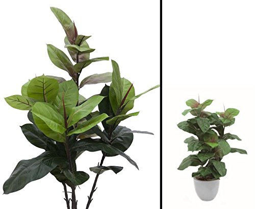 kunstpflanzen-discount.com Gummibaum künstlich 43 Blätter Höhe 100cm ohne Topf - Künstliche Gummibaum Steckpflanze
