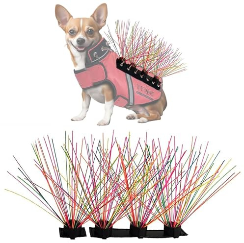 CoyoteVest CoyoteWhiskers skydd nylonborst för prärievargsväst eller spikeVest hundsele väst, hundtillbehör som dämpar prärievarg, hök och Raptorattacker (set med 4, regnbåge)