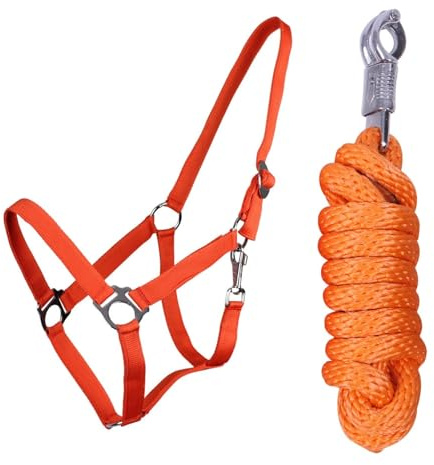 ARBO-INOX Halfter Set Beginner II Halfter + Führstrick mit Panikhaken verstellbar (Full Warmblut, Orange)