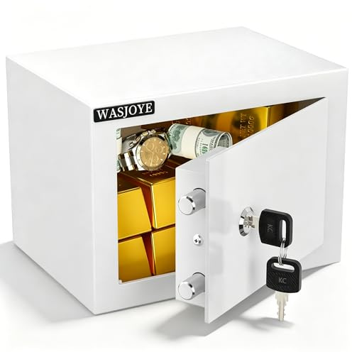 WASJOYE 23 * 17 * 17cm Mini Safe Tresor mit Schlüssel, 6.7L | für Zuhause/Büro, kleiner tresor mit 2 Schlüssel für Geld Schmuck Medikamente und Reisepass