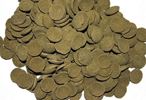 Wohnkult Hausmarke Welschips Algae Wafers Plecos für Welse Corydoras Futtertabletten Spirulina Welsfutter (1000 ml)