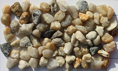 Anbobo Müller GmbH 10 kg beige Aquariumsand Aquariumkies Natur feuergetrocknet und gerundet (4,0-8,0 mm)
