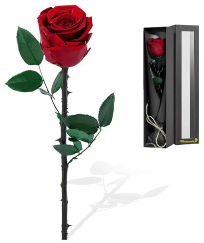 Focenat Rosa Eterna Preservada,Rosa Natural Preservada con Tallo,Flores Preservadas,Rosa Natural Preservada,Kit de Rosas,para Decoración del Hogar Boda San Valentín Navidad Aniversario