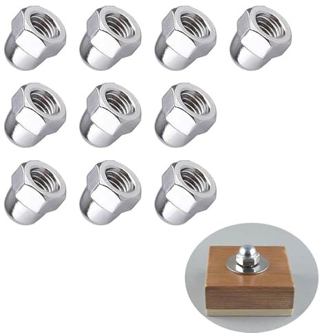 10 Pcs Acorn Dome Cap Nuts, 304 Stainless Steel Acorn Dome DIN 1587 Thread Hex for Motorcycle Bicycles Furniture Lighting Saddle.Acorn Decorative Hex Cap Nuts - M10