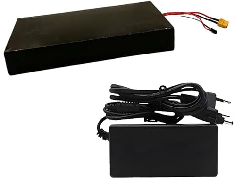 Batterie au Lithium 48 V 20 Ah Batteries au Lithium 48 V Batterie Amovible 48 V Batterie Li-ION 48 V avec Chargeur pour Moteurs 200 W - 600 W 48V 20Ah,XT30+JST