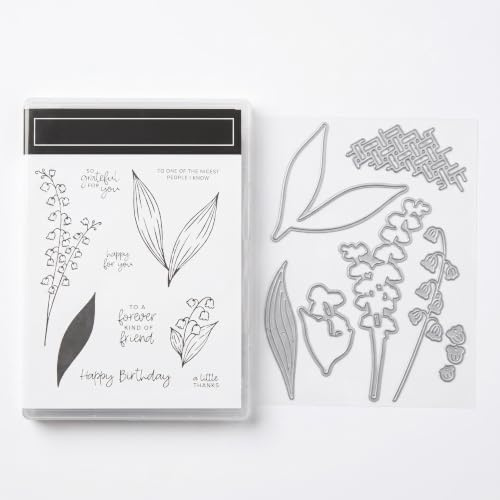 DiiWmme Silikonstempel und Stanzschablonen Set 2-in-1 2026 Neuheiten | Transparente Stempel für DIY Scrapbooking, Prägestempel und Stanzen für Grußkarten, Bastelset für Kartenherstellung