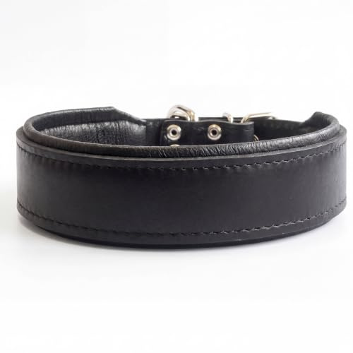 Bestia™ Classic Echtleder Hundehalsband. 100% Leder. Weich gepolstert. | Größe L- Halsumfang von 42,5 bis 50 cm/ 5 cm Breite, für große und mittelgroße Hunde
