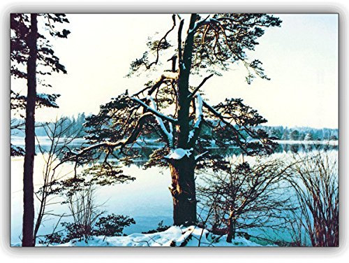 4 Foto Karten Romantische Winter Foto Grußkarte mit verschneitem Seeufer. • hübsche hochwertige Grusskarten Set mit Umschlägen für Sie gefertigt