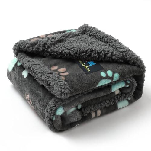 luciphia Wasserdicht Hundedecke Flaushig, Fleece Haustier Decke Waschbar | Schutzdecke für Sofa,Couch,Bett,Auto vor Nässe,Outdoor Decke für Hunde,Katzen,maschinenwaschbar,ideal für Zuhause,unterwegs