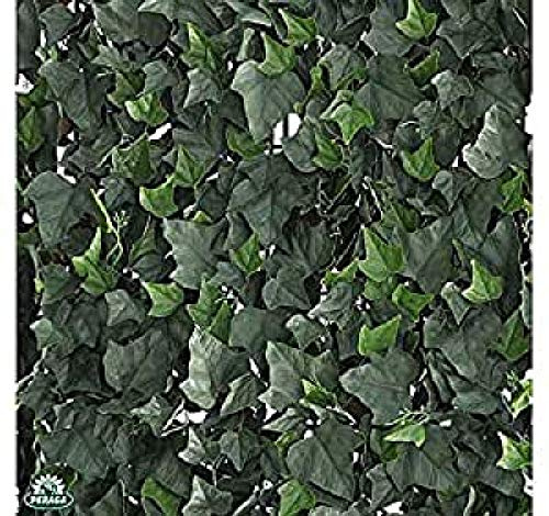 Verdemax 5636 - Pannello siepe Verdecor edera sintetica 50x50 Cm