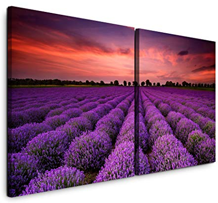 Paul Sinus Art GmbH Lavendel 120x60cm - 2 Wandbilder je 60x60cm Kunstdruck modern Wandbilder XXL Wanddekoration Design Wand Bild