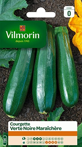 Vilmorin 3484440 Zucchine, Verdi, 90 x 2 x 160 cm