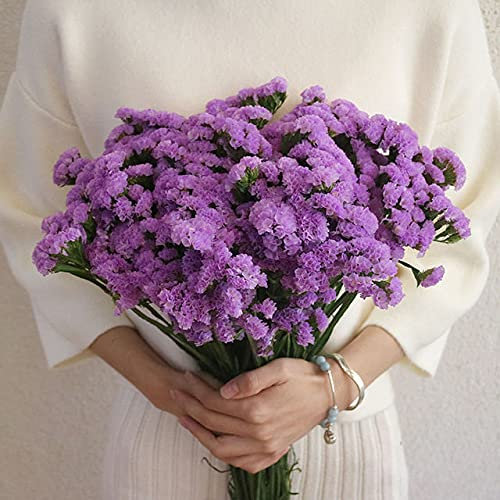 l Getrocknete Blumen, frisch konserviert, Vergissmeinnicht, Kristallliebhaber, Gras, Trockenblumensträuße, Hochzeit, Hochzeit, Dekoration, Raum-E, 1 Set, ohne Vase