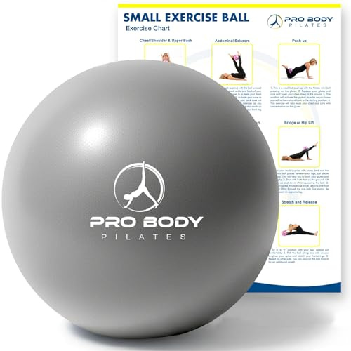 ProBody Pilates Small Exercise Ball, 9 Inch Mini Soft Yoga Ball for Stability, Barre, Ab, Core, Physio and Physical Therapy at Home Gym & Office (Silver)