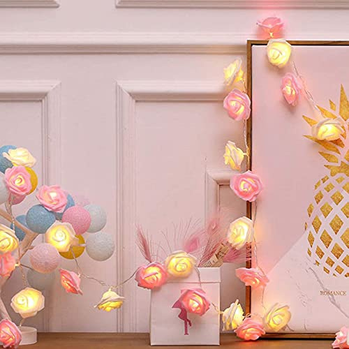 TourKing Rose Flower String Lights 19.6 Ft 40 LED Artificial Rose Garland Fairy Lights USB Charged Rose Light for Wedding Anniversary Garden Party Decor Gift for Girls (Pink+White)