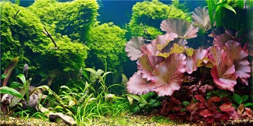 MIRRORANG 120x61cm Wasserpflanze Terrarium Aquarium Hintergrund Flussbett & See Aquarium Hintergrund Bartagame Vivarium Hintergrund Vinyl