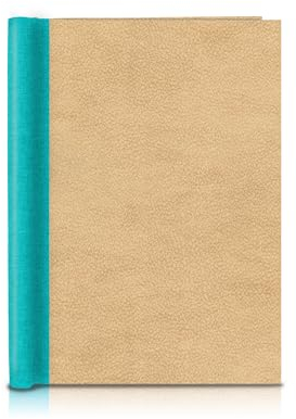 FAIRklemmt Klemmbinder Fancy Shanga Aqua, A4