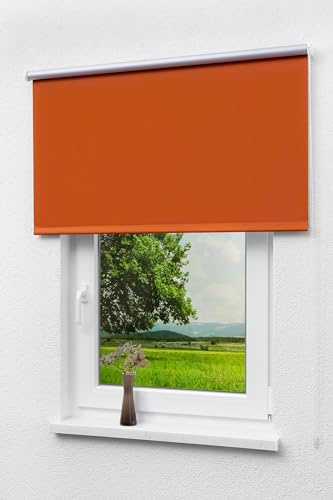 LYSEL Outlet - Verdunkelungsrollo Thermo Rotorange, (B x H) 122.50cm x 175cm in orange/rotorange