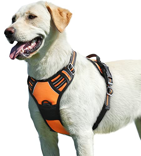 Eagloo Harnais Chien, Harnais Anti Traction pour Chien Réfléchissant Réglable, Facile à Mettre, avec Poignée Contrôle, Arnet pour Chiens Solide Respirant, Harnet pour Chiens Moyen et Grand, Orange, L